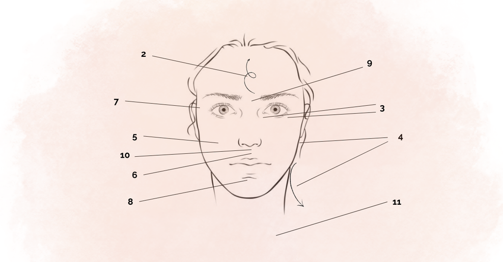 Schéma montrant les différents points d'acupression pour réaliser un bon massage du visage