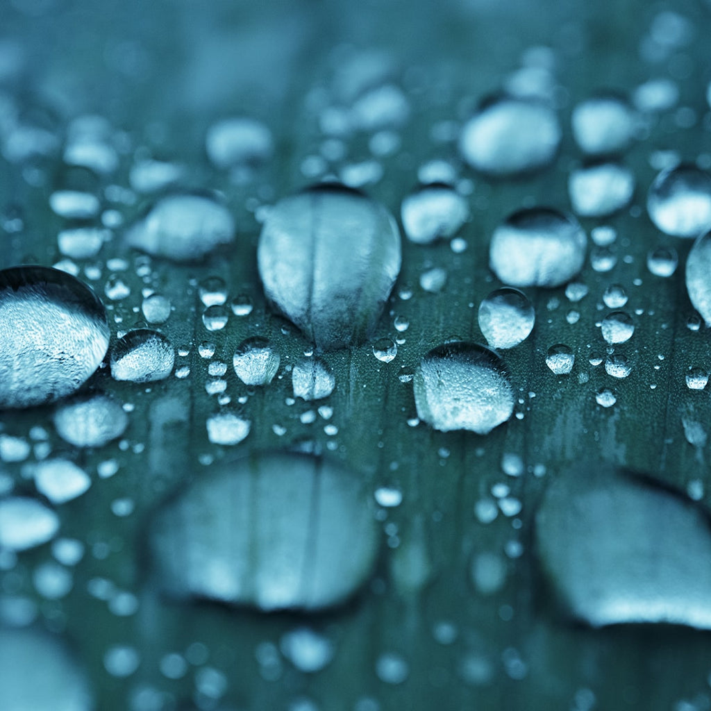 Gros plan sur des gouttes d'eau tombées sur une feuille