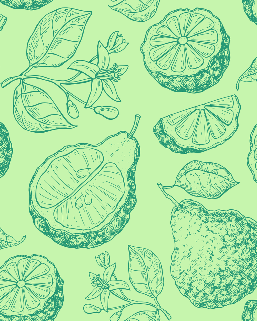 Dessins d'agrumes, bergamotes et fleurs sur fond vert vif